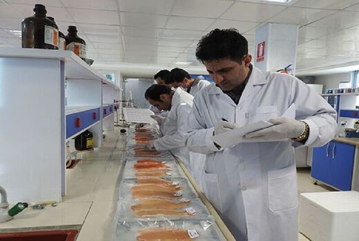 صادرات  246 تن خوراک آبزیان از چهارمحال و بختیاری 