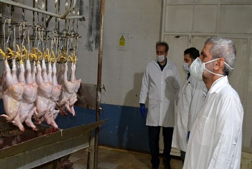 معدوم سازی بیش از 22تن فرآورده خام دامی در فارس