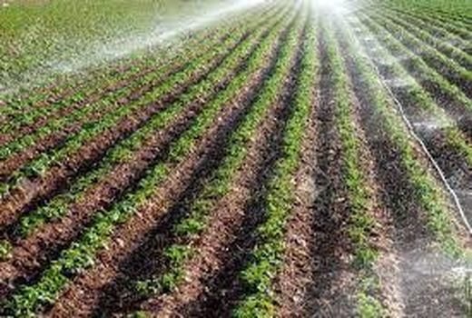 استفاده از سیستم‌های مدرن آبیاری در خرمشهر