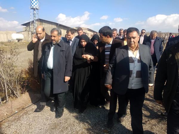 بازدید استاندار قزوین از یک واحد پرورش شتر مرغ در ابیک