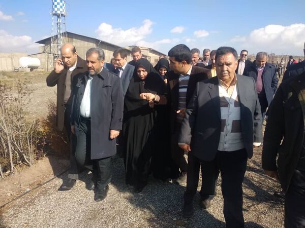 بازدید استاندار قزوین از یک واحد پرورش شتر مرغ در ابیک