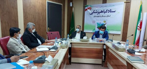 مبارزه اصولی با آفات کشاورزی، تضمینی برای امنیت غذایی کشور است