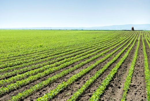  کشاورزان بدون بیمه نگران نباشند