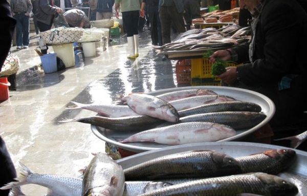 نرخ جدید انواع ماهی شب عید