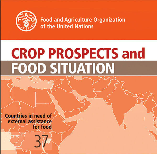چشم‌انداز کشاورزی و غذای جهان در سال پیش روی میلادی/ تولیدات کشاورزی ایران از نگاه فائو
