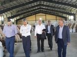 همدان پایلوت اجرای طرح بارانداز محصولات کشاورزی می‌شود