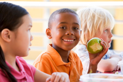 بسته‌های میوه سلامت در بوفه مدارس توزیع می‌شود/ کارشناسان گیاه‌پزشکی به‌عنوان سفیران سلامت و دانش در مدارس حضور می‌یابند
