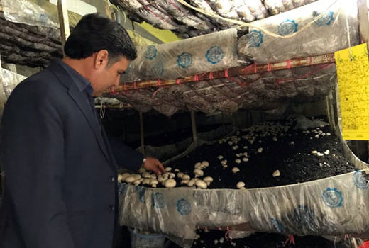 اجرای طرح ترویج فرهنگ تولید ومصرف محصولات گواهی شده و استاندارد در مراغه