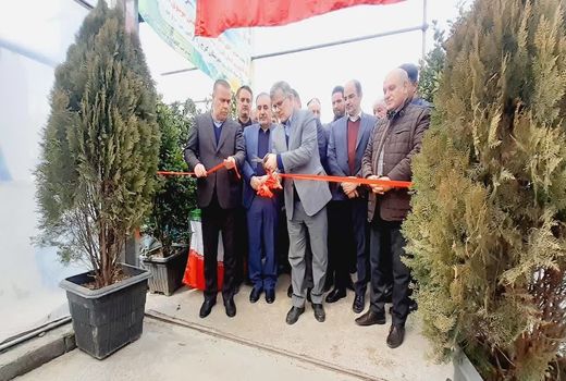 افتتاح گلخانه تولید نشاء مکانیزه سبزی و صیفی در شهرستان کرج با حضور معاون وزیر و استاندار البرز 