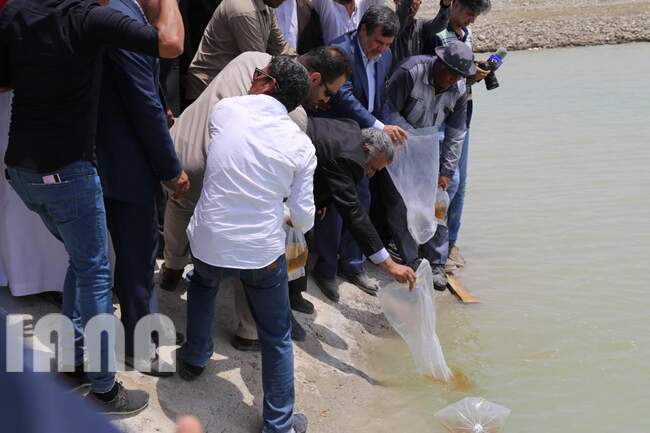 فتتاح مزرعه پرورش میگو توسط وزیر جهاد کشاورزی در ساحل سیریک استان هرمزگان