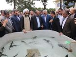 بازدید وزیر جهاد کشاورزی از ایستگاه تحقیقاتی تاس ماهیان گیلان