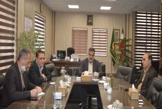 پایش مزارع گندم ضروری است