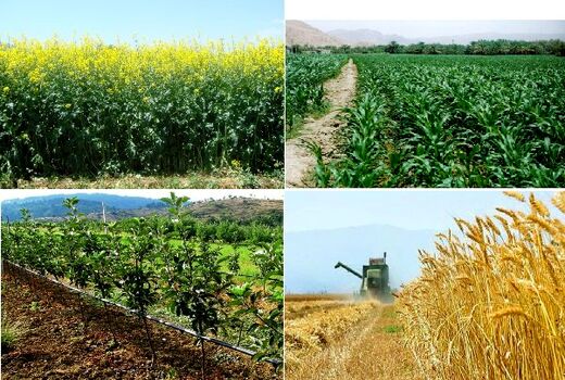خراسان شمالی می تواند به یکی از قطب های صادراتی محصولات کشاورزی تبدیل شود