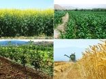 خراسان شمالی می تواند به یکی از قطب های صادراتی محصولات کشاورزی تبدیل شود