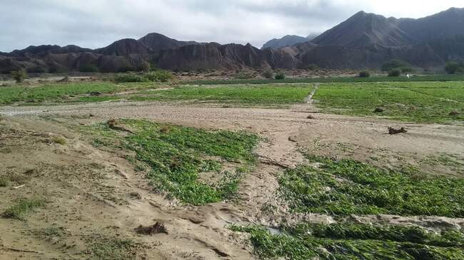 خسارت سیل در سیستان و بلوچستان