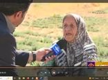 فعالیت هفت هزار بانوی چهارمحال و بختیاری در بخش کشاورزی