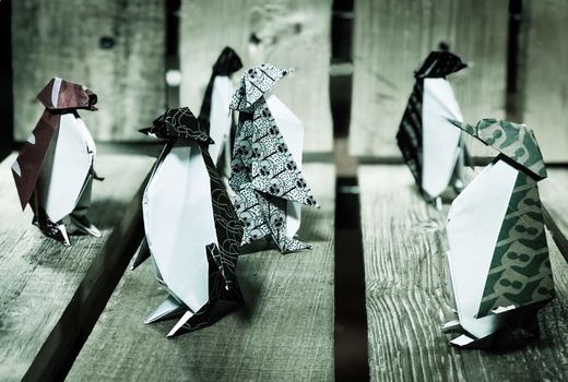 «مرگ و پنگوئن» به روایت پیام دهکردی در تئاترشهر