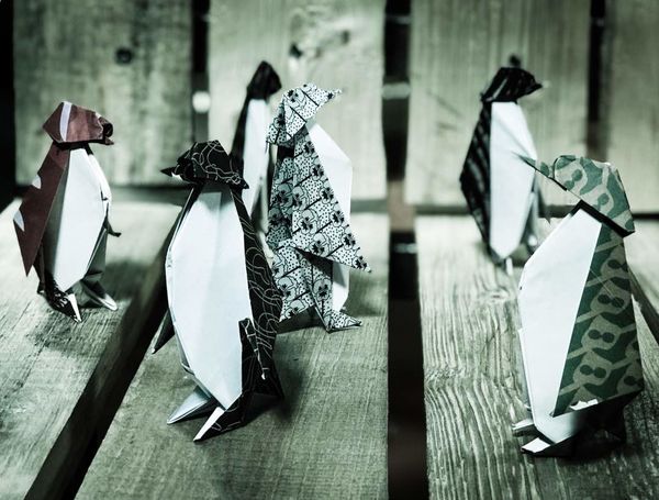 «مرگ و پنگوئن» به روایت پیام دهکردی در تئاترشهر