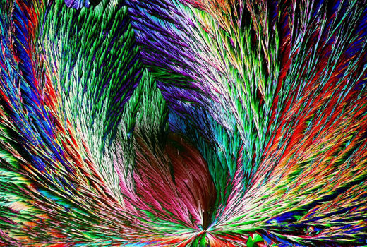 عکس راه‌یافته به فینال مسابقه عکاسی آر.اس.بی‎
