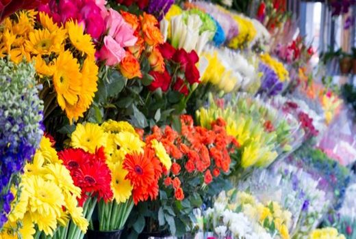 بلایی که کرونا بر سر محصولات کشاورزی آورد؛ گل‌هایی که معدوم شد