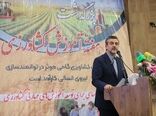آموزش و ترویج دو بال ارتقای بهره‌وری در کشاورزی هستند / آموزش، محور امنیت غذایی آینده
