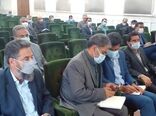 ایجاد امنیت غذائی و خدمت رسانی به مردم وظیفه سازمان جهاد کشاورزی استان کرمان است