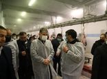 بازدید وزیر جهاد کشاورزی از کشتارگاه دام احسان ری در استان تهران