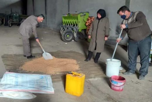 کشت بهاره نخود دیم در شهرستان هشترود آغاز شد