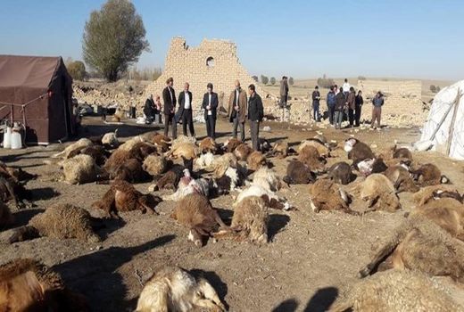 برآورد خسارت 30 میلیارد تومانی زلزله به بخش کشاورزی آذربایجان شرقی 