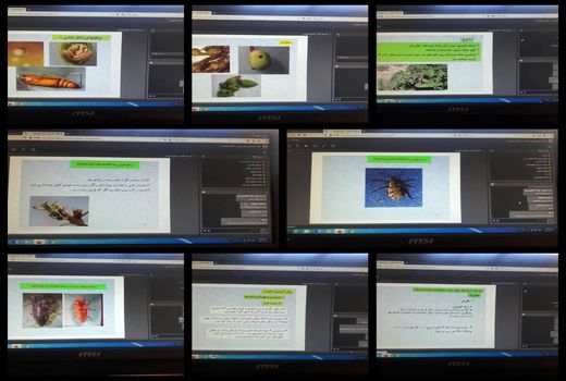 آموزش مجازی بهره برداران شهرستان ریگان در شرایط همه گیری کووید 19