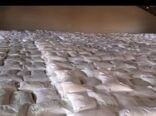 اعلام زمان توزیع کود شیمیایی به کشاورزان استان بوشهر