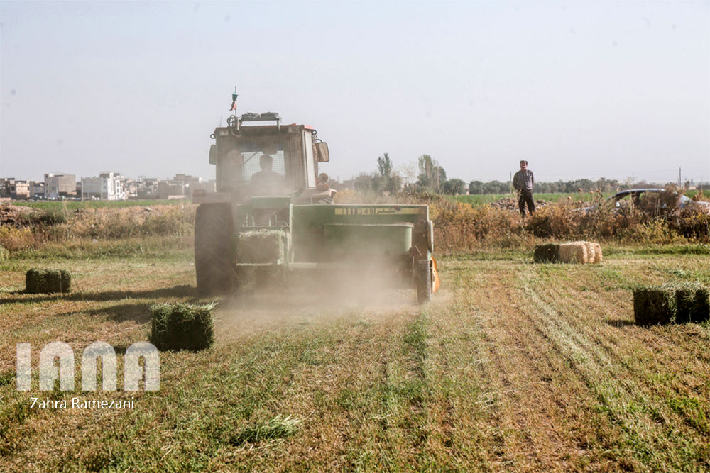 پروژه زمینهای زراعی اوقاف