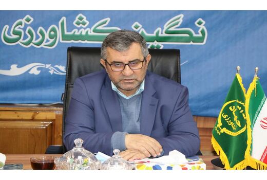 19 هزارتن پرتقال شب عید به 21 استان کشور حمل شد/ تاکید بر آرامش بازار