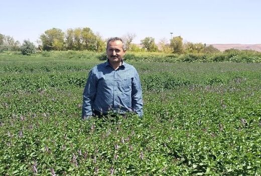 جلوگیری استفاده از آب‌های نامتعارف برای آبیاری محصولات کشاورزی در شهرستان تبریز