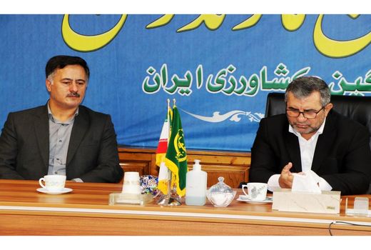 افزایش 80 درصد تولید پیله کرم ابریشم در کشور/ تولید 30 هزارجعبه تخم نوغان