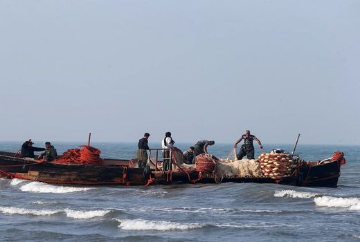 صدور مجوزهای صید و صیادی الکترونیکی می‌شود