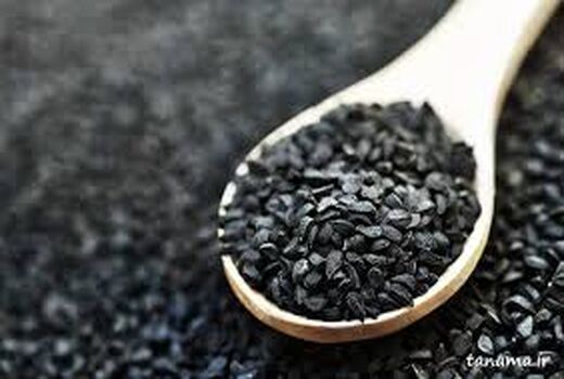 توسعه کاشت سیاه دانه در کوار 
