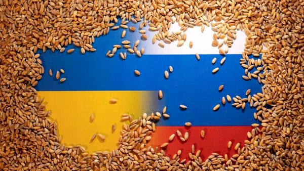 دردسر غلات اوکراینی برای اتحادیه اروپا!