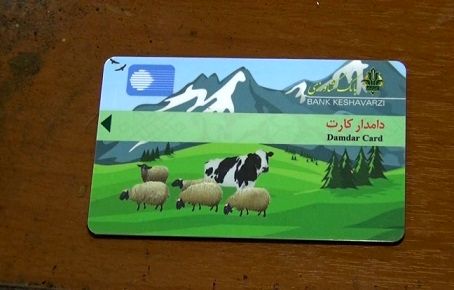 دریافت تسهیلات  به مرغداران تا سقف 500 میلیون تومان  بدون نیاز به وثیقه 