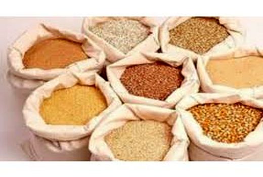 30 هزار تن نهاده بین دامداران بابلی توزیع شد