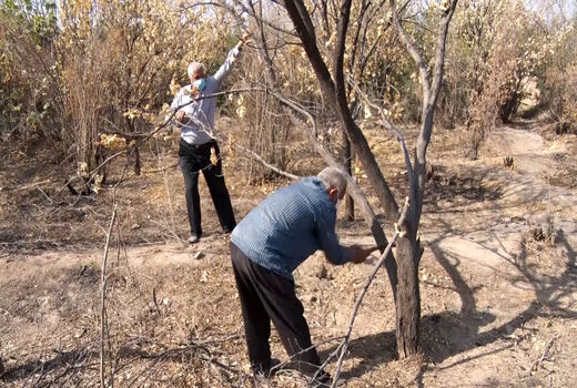 خشکسالی بی سابقه کاشان در ۵۰ سال گذشته