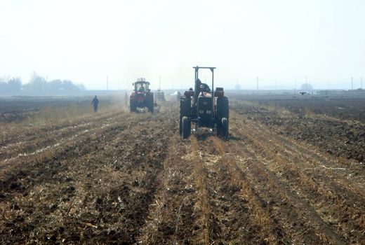 اجرای طرح‌های کشاورزی حفاظتی در مزارع پائیزه استان قزوین