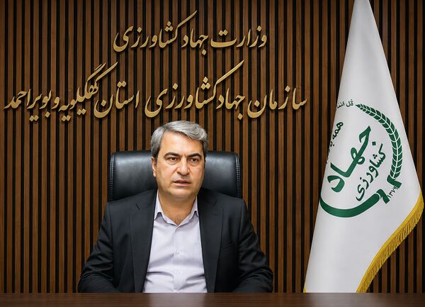 جهش دو برابری خرید گندم در کهگیلویه و بویراحمد؛ تضمین کننده امنیت غذایی در مسیر پایداری کشور 