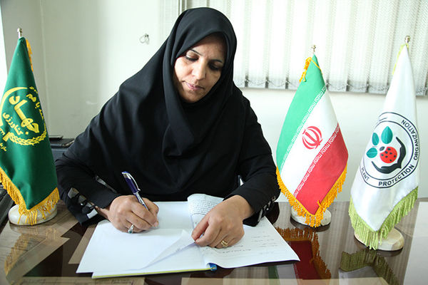 مبارزه با سن غلات در خراسان رضوی