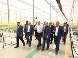 توسعه گلخانه‌ها؛ گامی راهبردی برای آینده کشاورزی آذربایجان شرقی