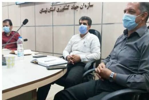 راه اندازی سامانه مالیار در امتداد در امتداد سامانه بازارگاه