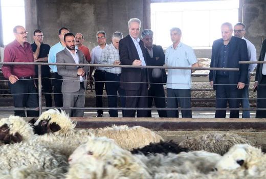بازدید معاون وزیر جهاد کشاورزی از شرکت مهرگستر سیمرغ گوشت زیاران با هدف بررسی ظرفیت تولید و رفع موانع