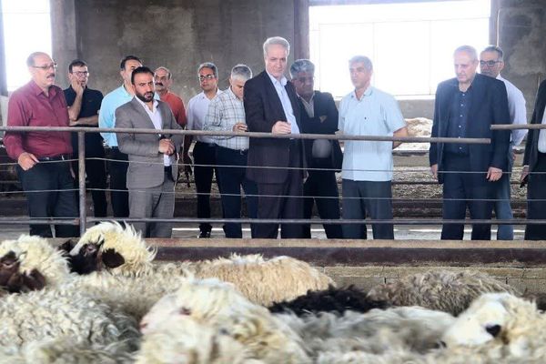 بازدید معاون وزیر جهاد کشاورزی از شرکت مهرگستر سیمرغ گوشت زیاران با هدف بررسی ظرفیت تولید و رفع موانع