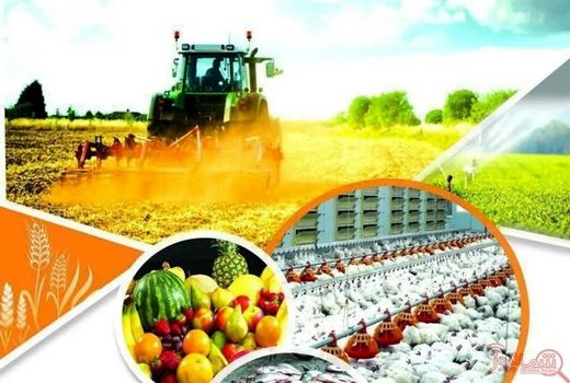 تحقق ۷۰ درصدی تعهد اشتغال جهاد کشاورزی البرز در ۴ ماه نخست سال