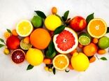 کاهش ضایعات مرکبات به زیر ۱۰ درصد / واگذاری ۲۷ رقم سالم به بخش خصوصی